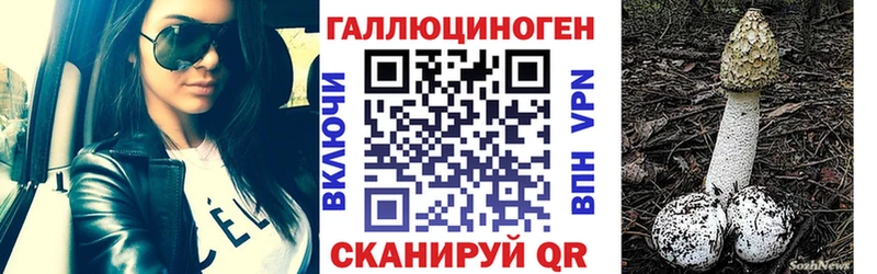 Псилоцибиновые грибы GOLDEN TEACHER  купить наркотики сайты  Назарово 